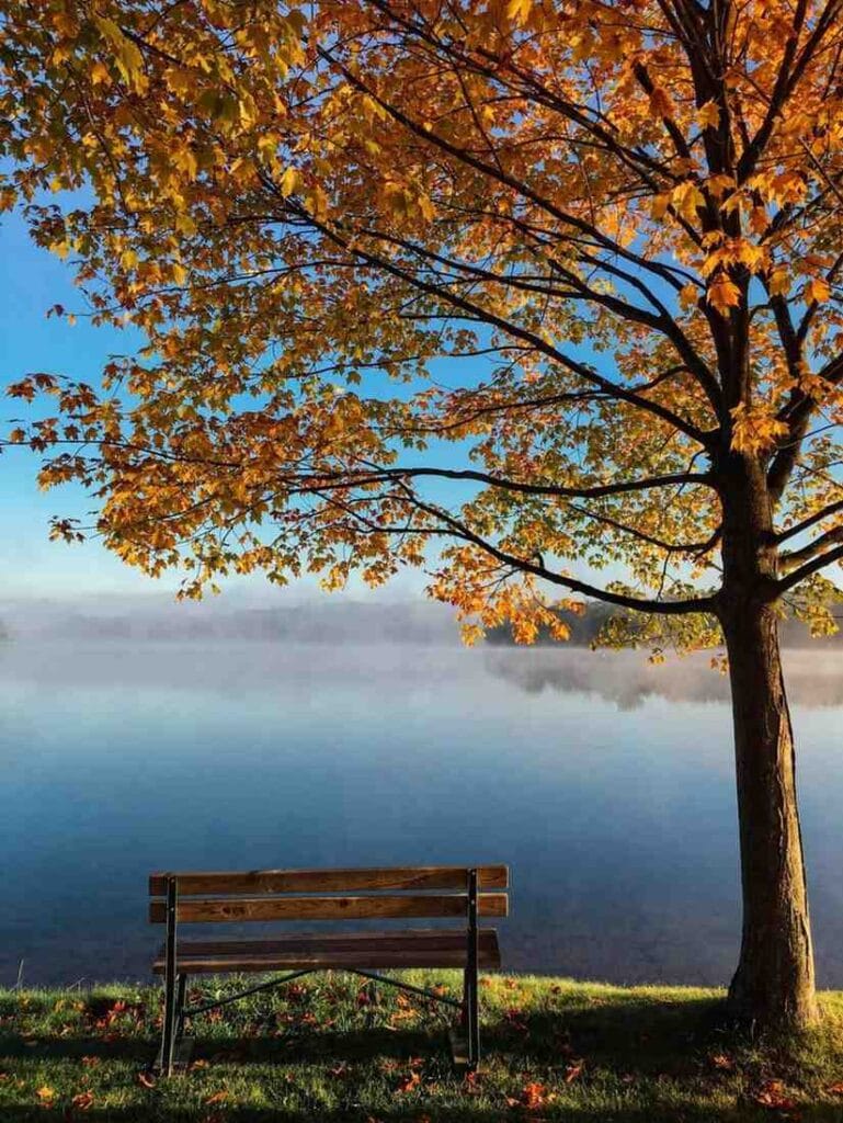 Bench by the lake on an autumn’s day 